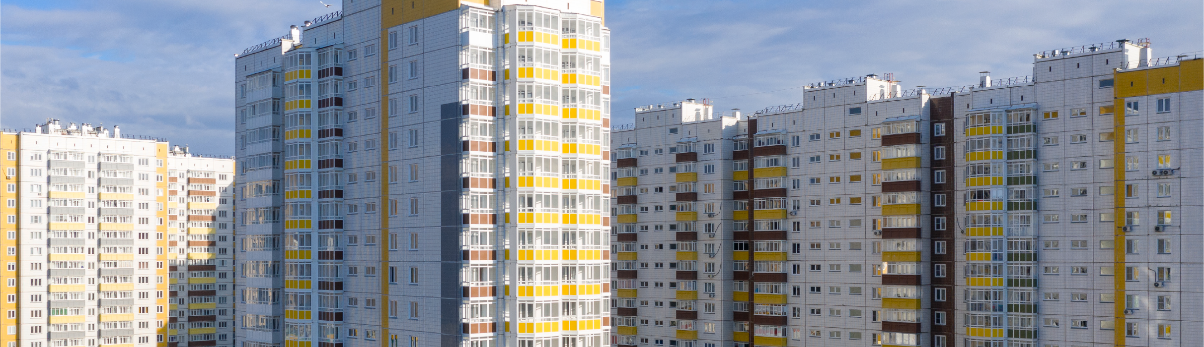 Фото баннера